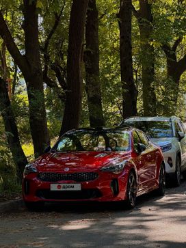 Kia Stinger, 2019 г., Владивосток