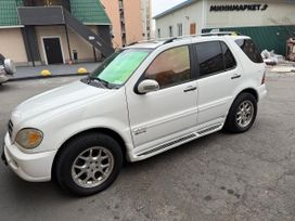 Mercedes-Benz M-класс, 2005 г., Владивосток