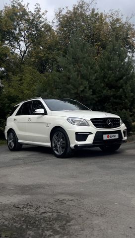 Mercedes-Benz M-класс, 2013 г., Тюмень