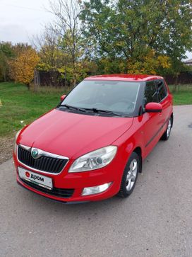 Skoda Fabia, 2010 г., Краснодар