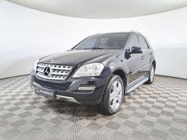 Mercedes-Benz M-класс, 2010 г., Уфа